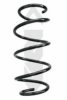 SPIDAN 86839 Coil Spring